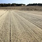 Evasion En Bord De T3 Avec Terrasse Le President شقة
