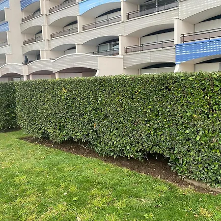 Lejlighed Evasion En Bord De T3 Avec Terrasse Le President Le Touquet