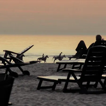 Lejlighed Evasion En Bord De T3 Avec Terrasse Le President Le Touquet