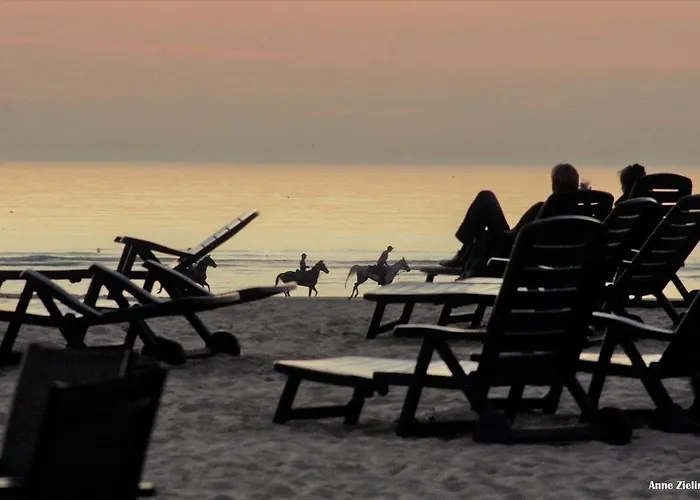 Appartamento Evasion En Bord De T3 Avec Terrasse Le Président Le Touquet
