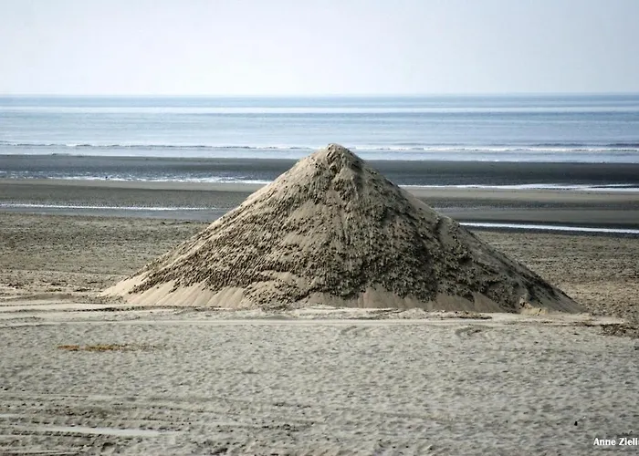 Evasion En Bord De T3 Avec Terrasse Le Président *