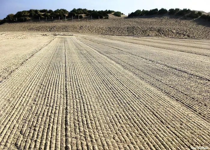 Evasion En Bord De T3 Avec Terrasse Le Président Appartamento