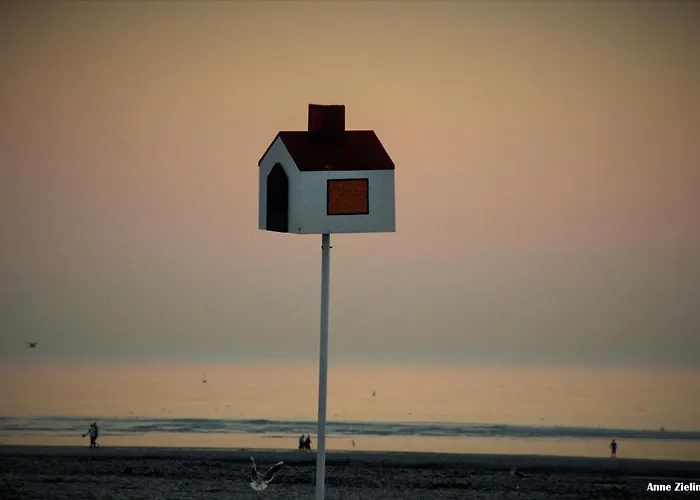 Evasion En Bord De T3 Avec Terrasse Le Président
